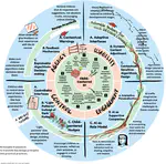 Child-Centered AI: Contextualizing Principles and Design in HCI.